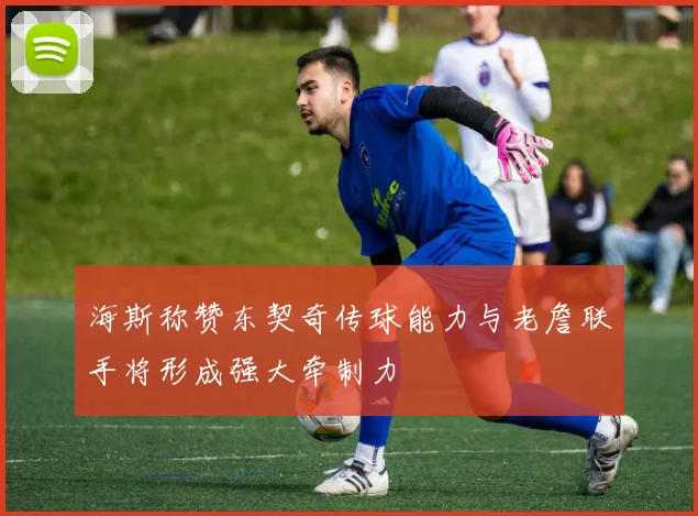 海斯称赞东契奇传球能力与老詹联手将形成强大牵制力