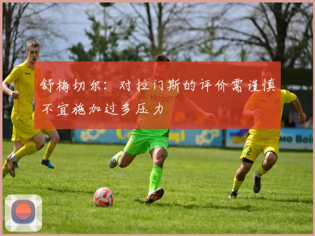 舒梅切尔：对拉门斯的评价需谨慎不宜施加过多压力