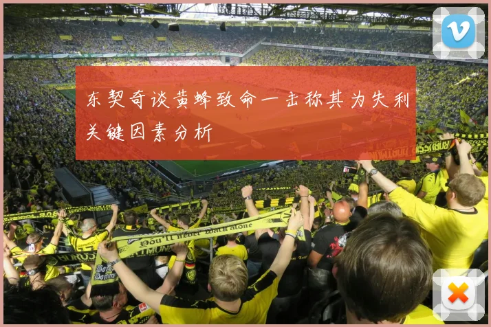 东契奇谈黄蜂致命一击称其为失利关键因素分析