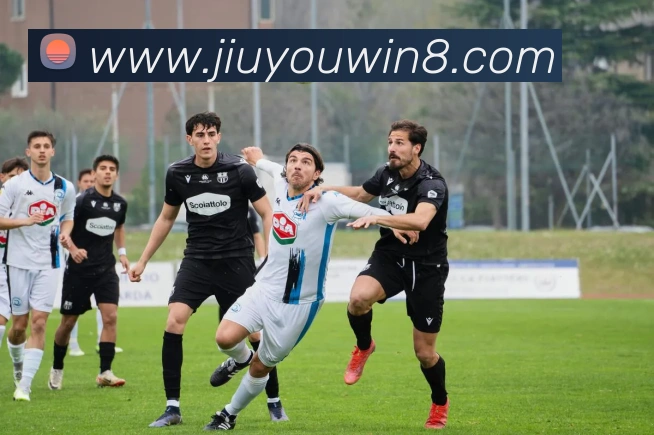 九游娱乐平台生态图